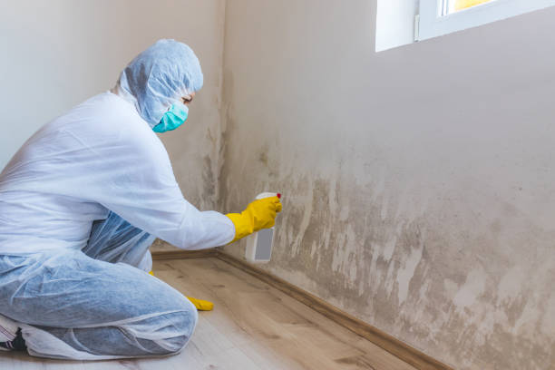 Crawl Space Mold Remediation treatment of floor joists in Yorktown
